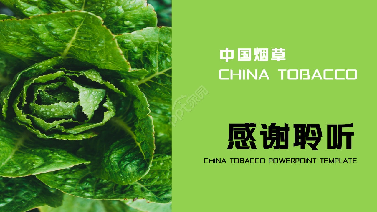 烟草营销ppt课件