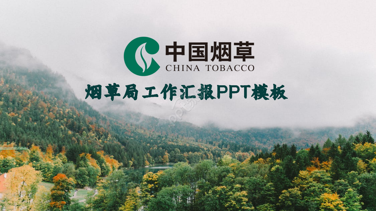 烟草局工作总结ppt模板