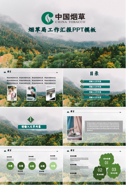 烟草局工作总结ppt模板