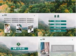 烟草局工作总结ppt模板下载推荐