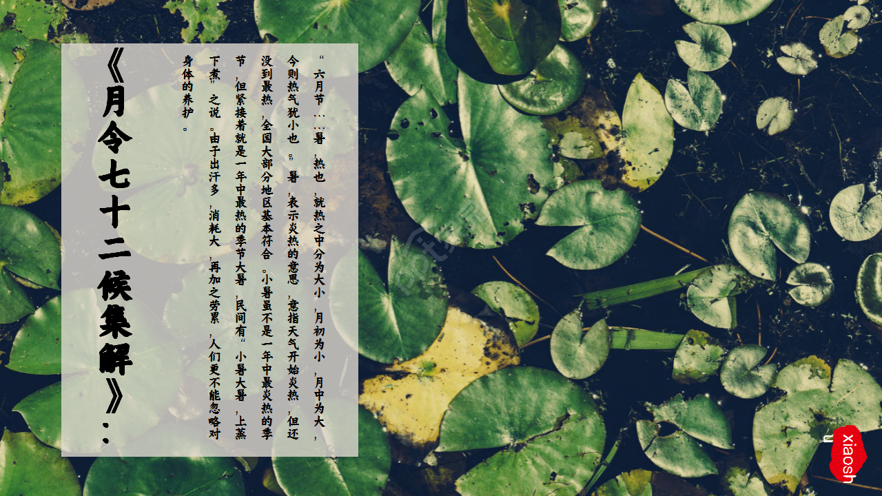 水墨中国风荷花二十四节气小暑商务合作知识教育ppt模板