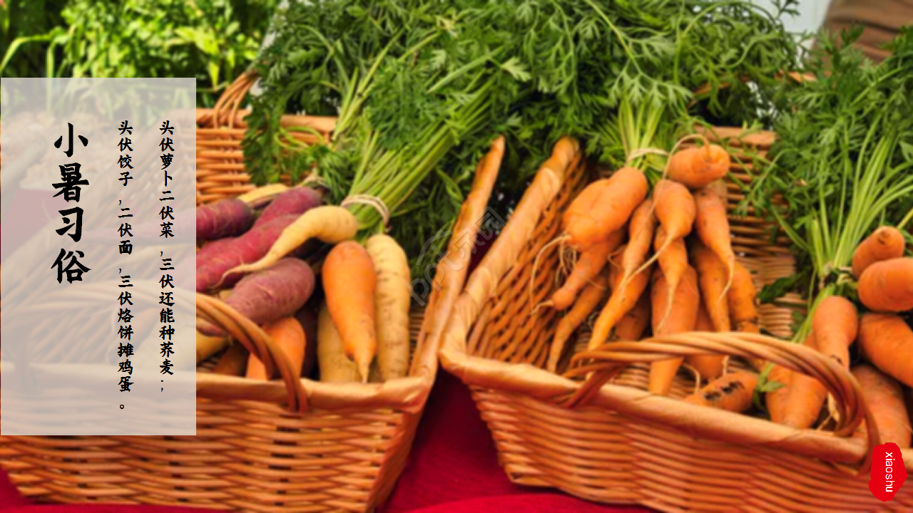 水墨中国风荷花二十四节气小暑商务合作知识教育ppt模板