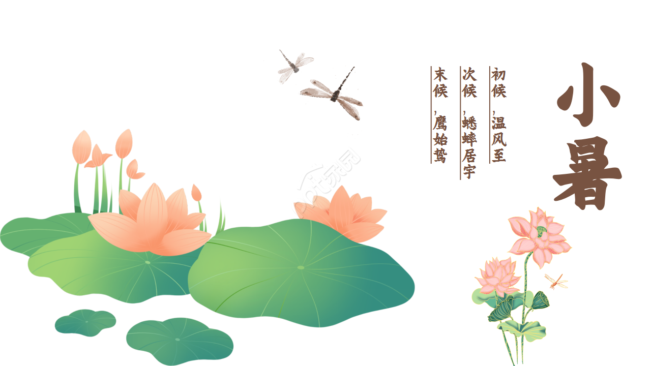 水墨中国风荷花二十四节气小暑商务合作知识教育ppt模板