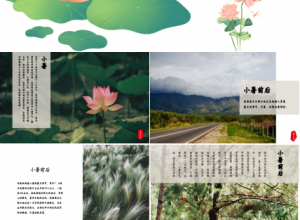水墨中国风荷花二十四节气小暑商务合作知识教育ppt模板下载推荐