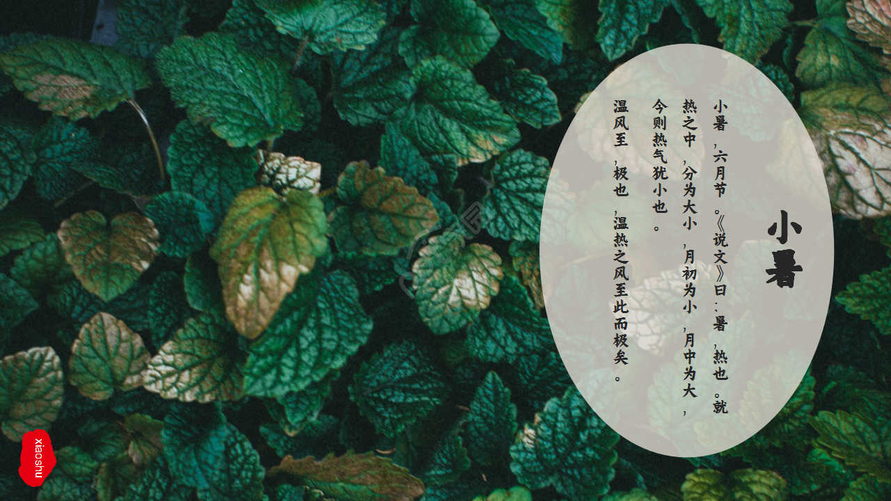 水墨中国风荷花二十四节气小暑商务合作知识教育ppt模板