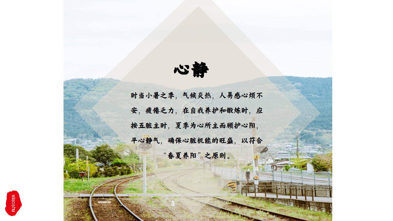 水墨中国风荷花二十四节气小暑商务合作知识教育ppt模板