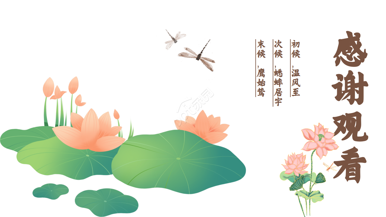 水墨中国风荷花二十四节气小暑商务合作知识教育ppt模板