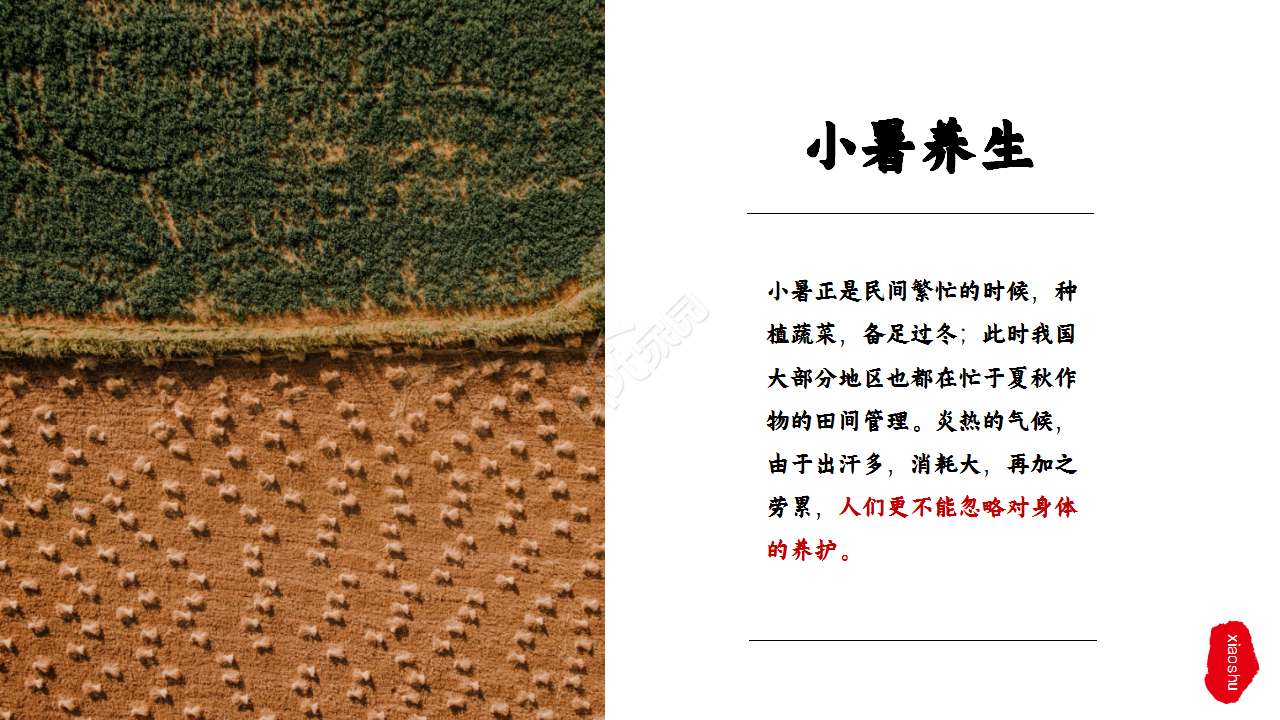 水墨中国风荷花二十四节气小暑商务合作知识教育ppt模板