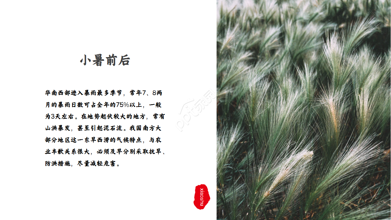 水墨中国风荷花二十四节气小暑商务合作知识教育ppt模板