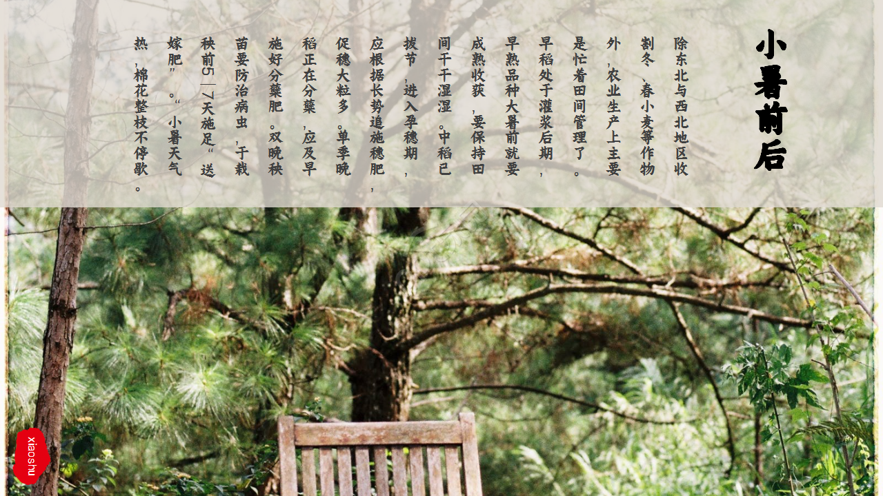 水墨中国风荷花二十四节气小暑商务合作知识教育ppt模板