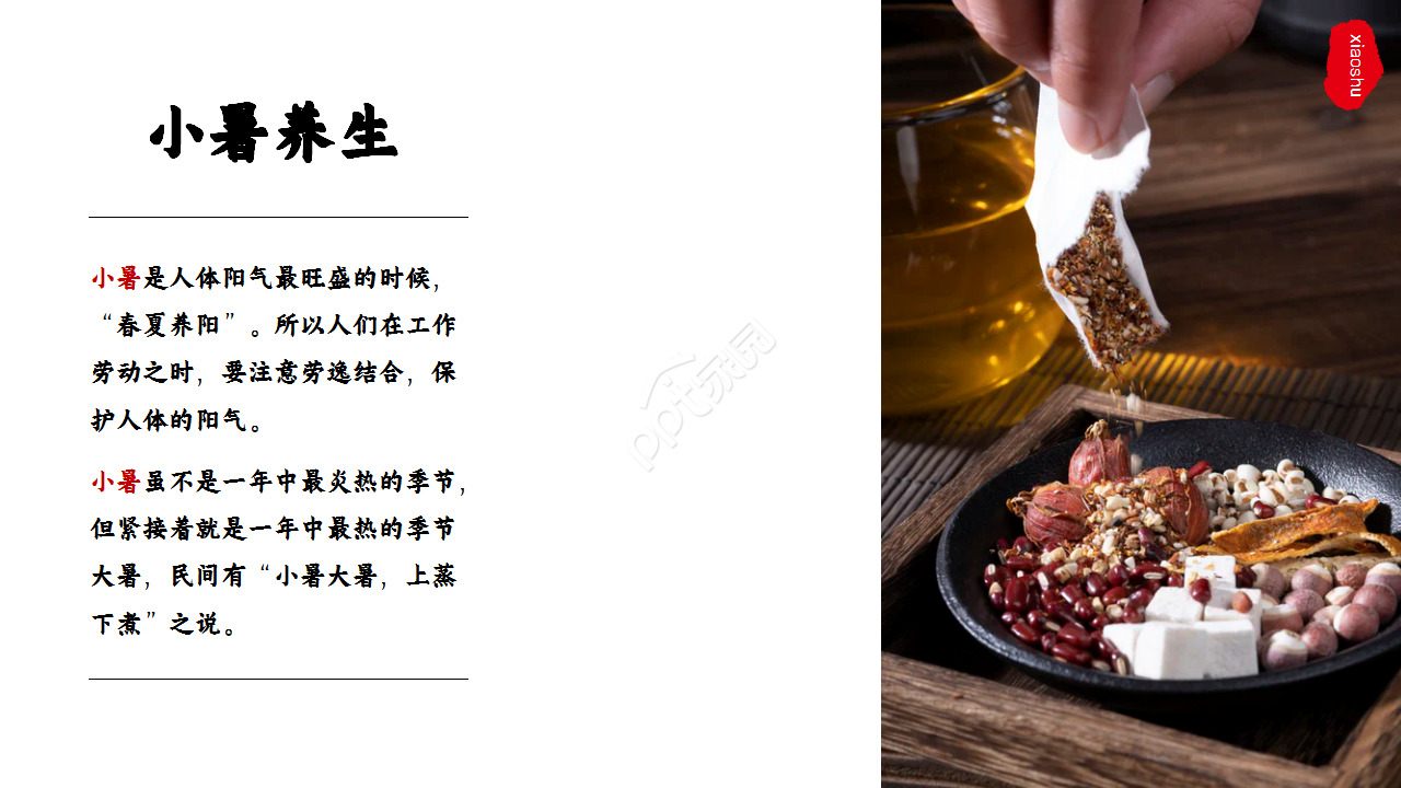 水墨中国风荷花二十四节气小暑商务合作知识教育ppt模板