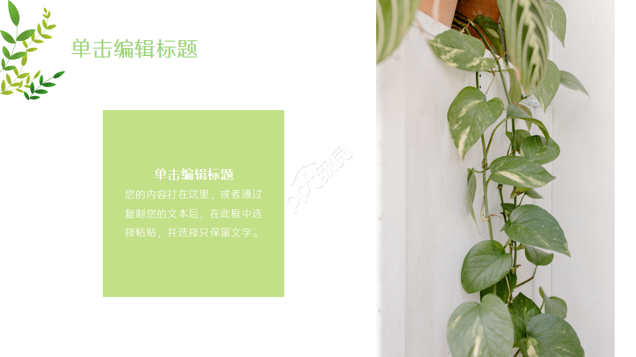 清新绿色小清新多功能通用工作汇报商务合作品牌推广PPT模板