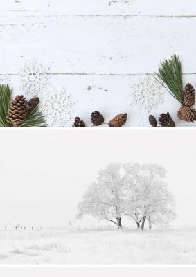 纯白干净雪景PPT背景图片