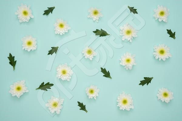 浅绿色清爽文艺风格年度汇报PPT背景图片