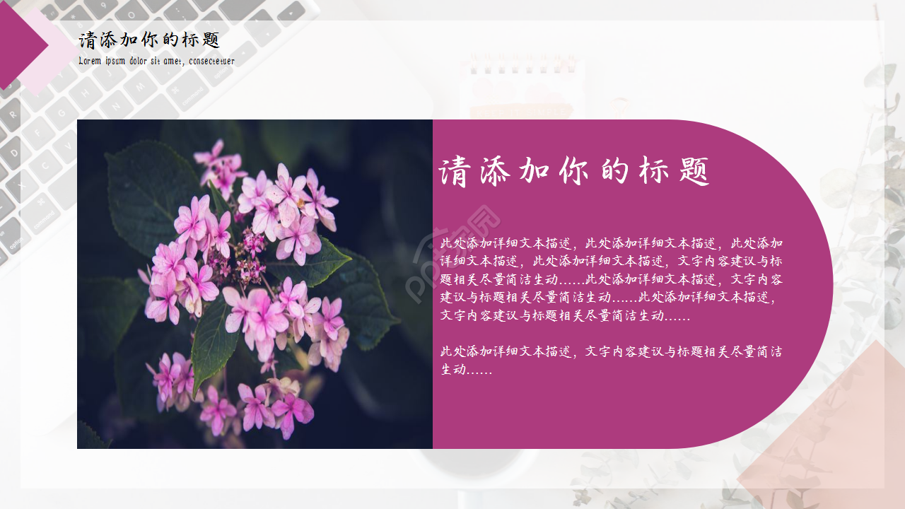 大学生社会实践浅粉色商业策划企业规范ppt模板