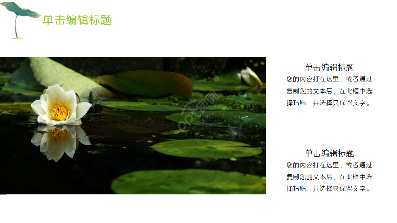 淡雅小清新中国风荷花项目策划部门汇报ppt模板