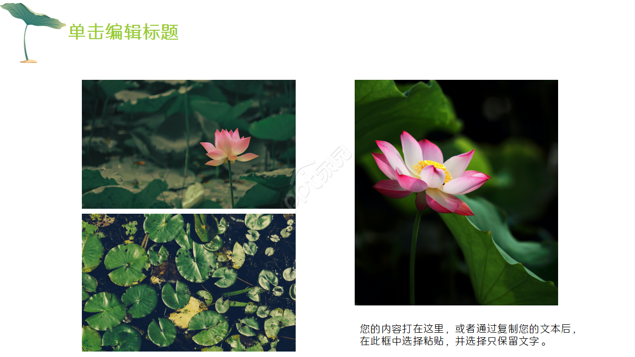 淡雅小清新中国风荷花项目策划部门汇报ppt模板