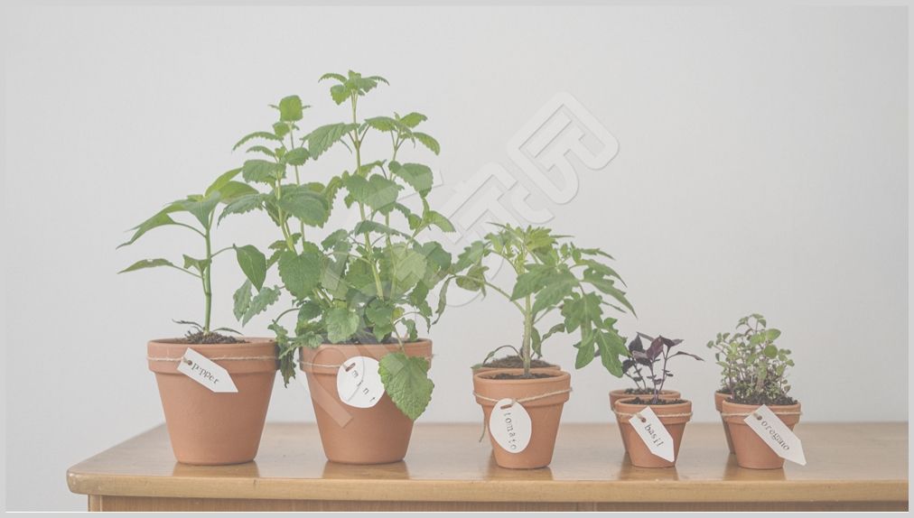 卡通设计唯美商务合作PPT背景图片