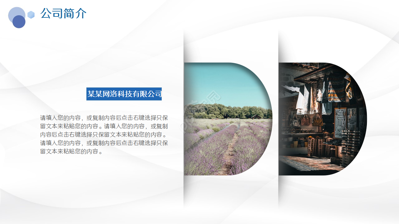 软件产品功能介绍高级简约莫兰迪工作总结ppt模板