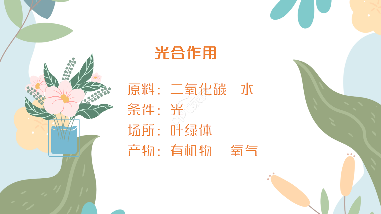 时尚卡通三维剪纸背景生物教学课件演示总结PPT模板