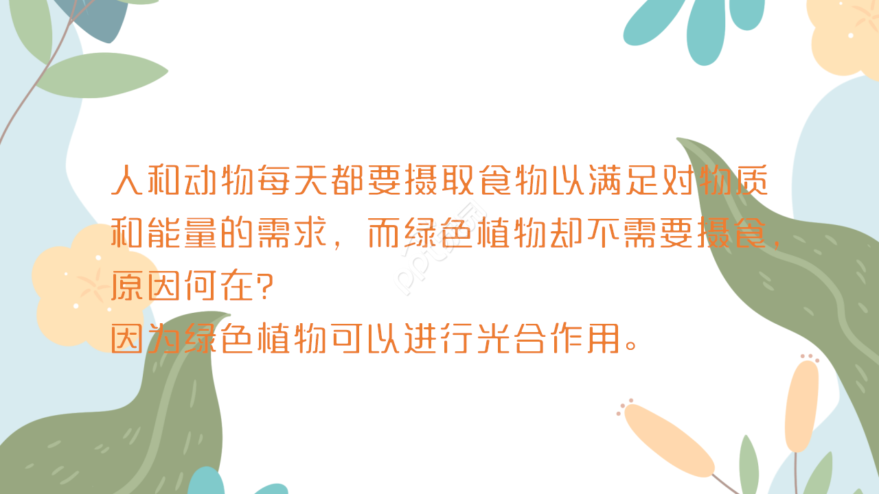 时尚卡通三维剪纸背景生物教学课件演示总结PPT模板