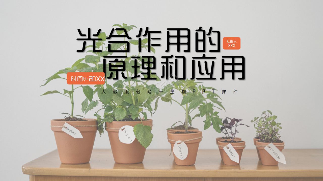 时尚卡通三维剪纸背景生物教学课件演示总结PPT模板