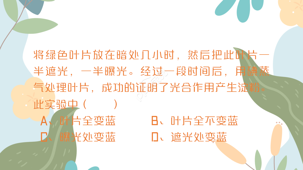 时尚卡通三维剪纸背景生物教学课件演示总结PPT模板