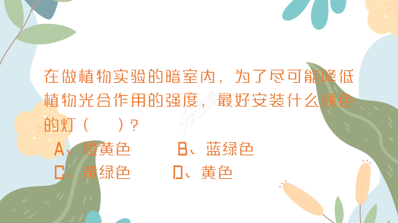 时尚卡通三维剪纸背景生物教学课件演示总结PPT模板