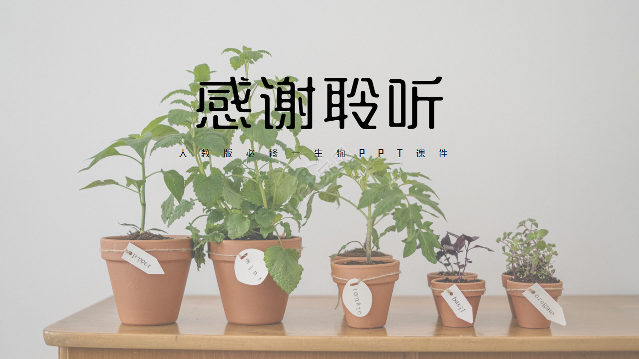 时尚卡通三维剪纸背景生物教学课件演示总结PPT模板