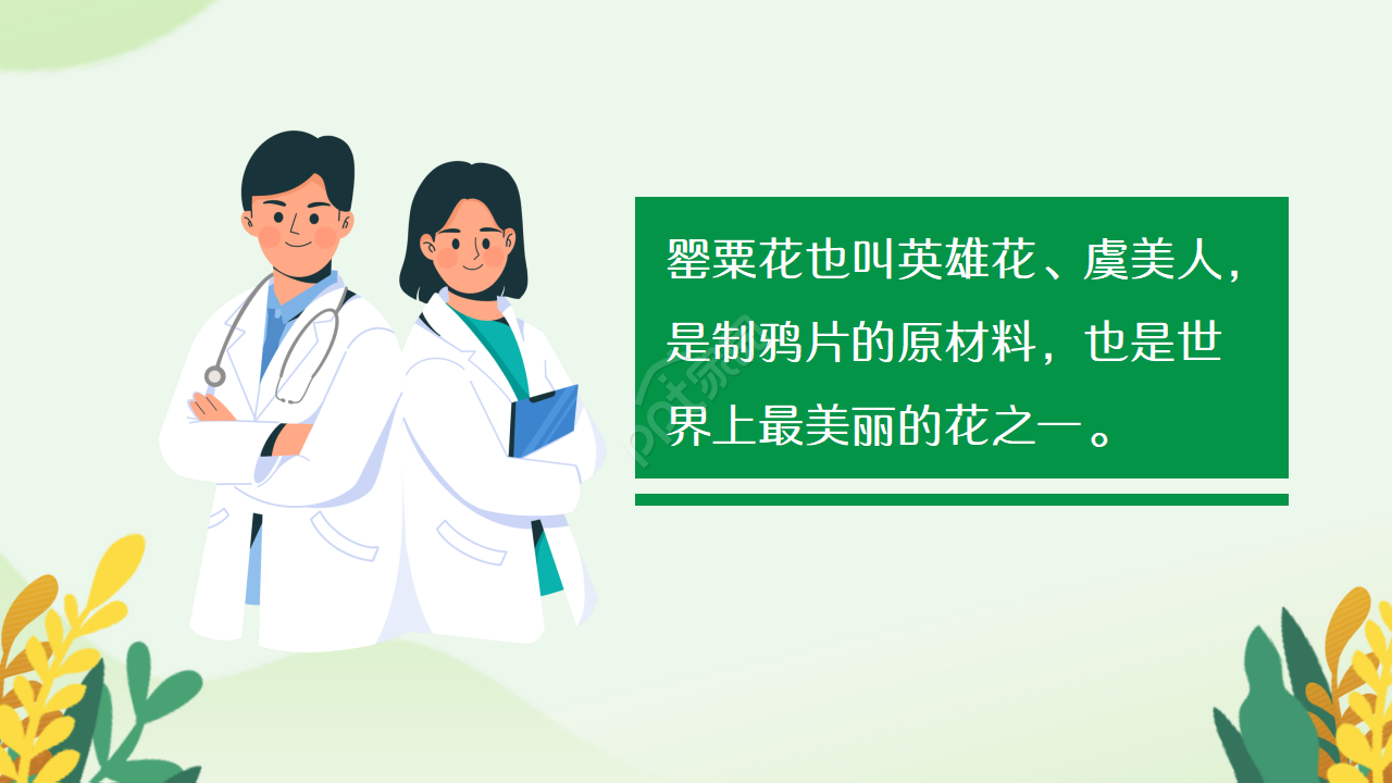 青少年禁毒教育知识宣传ppt模板