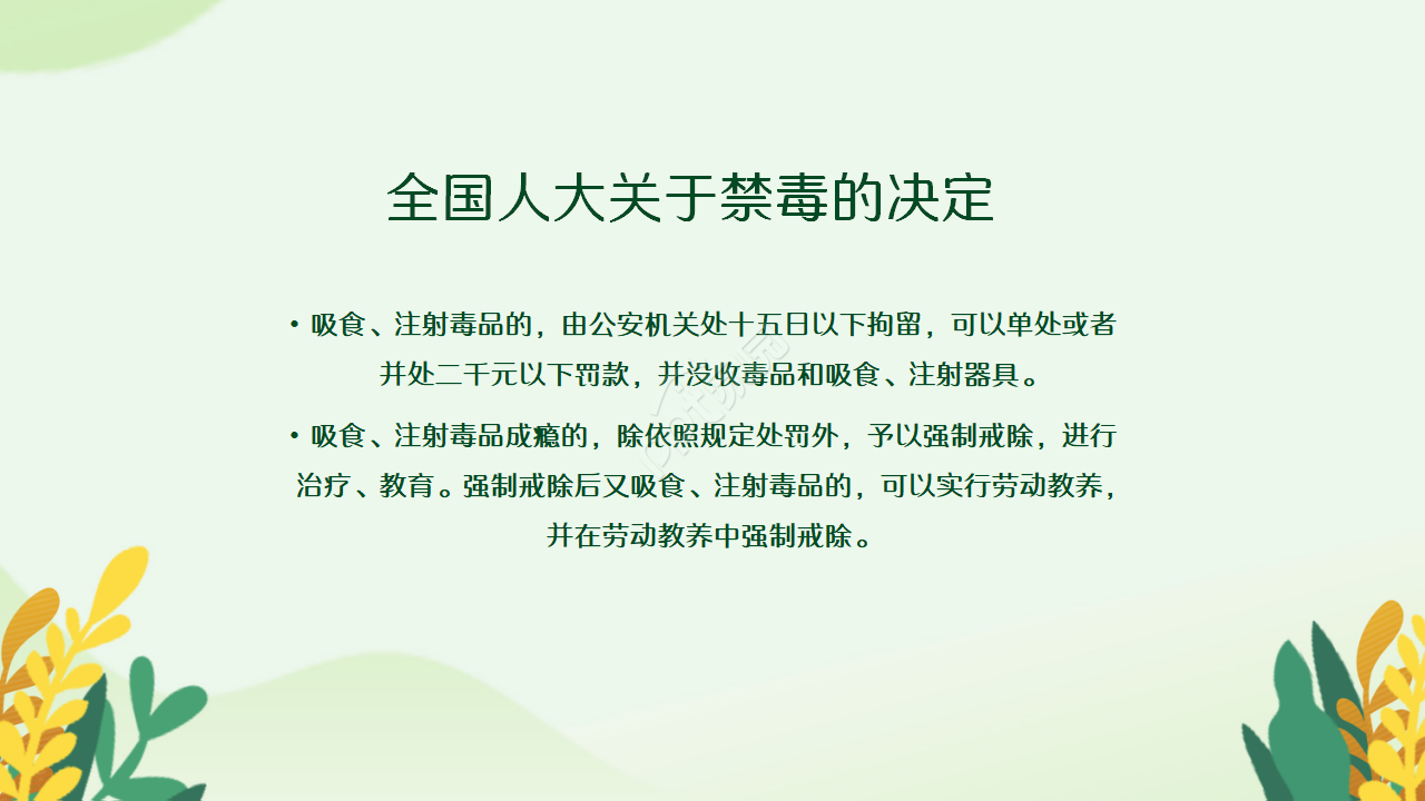 青少年禁毒教育知识宣传ppt模板