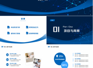 传统产业项目解决方案ppt模板下载推荐