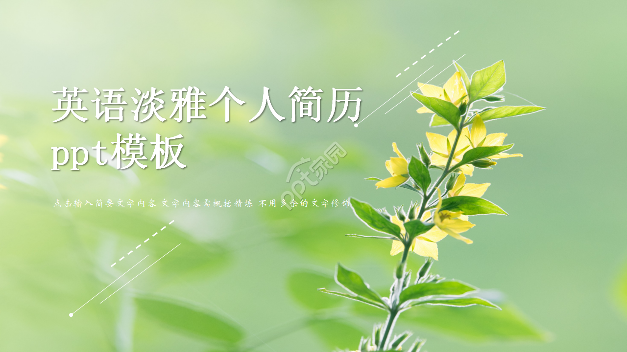 英语淡雅个人简历ppt模板