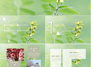 英语淡雅个人简历ppt模板下载推荐
