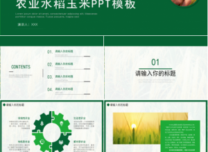 农产品养殖水稻ppt模板下载推荐