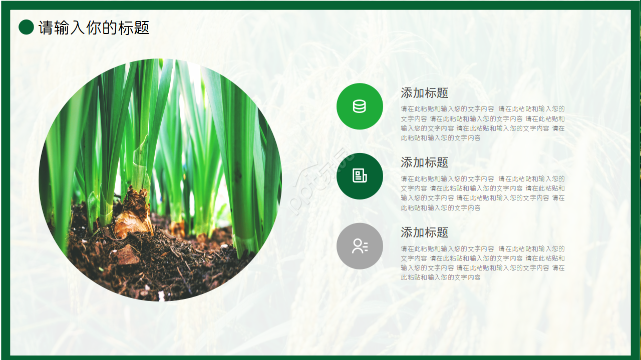 农产品养殖水稻ppt模板