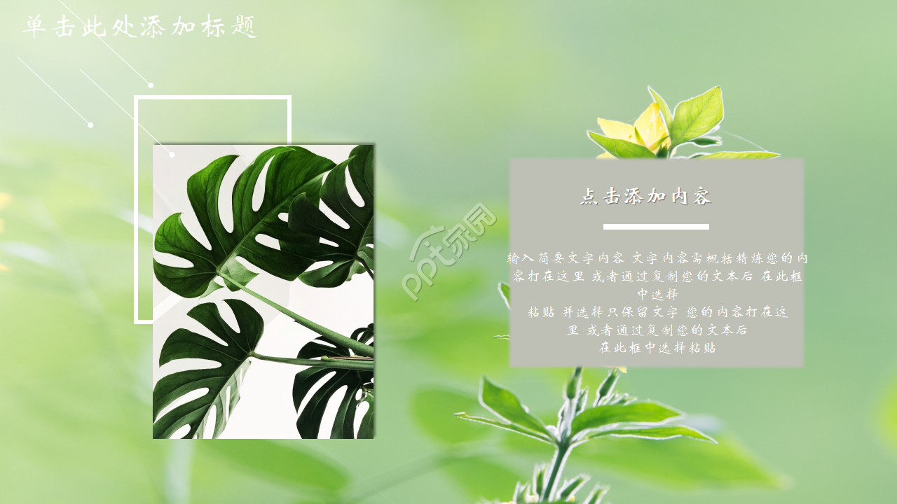 英语淡雅个人简历ppt模板