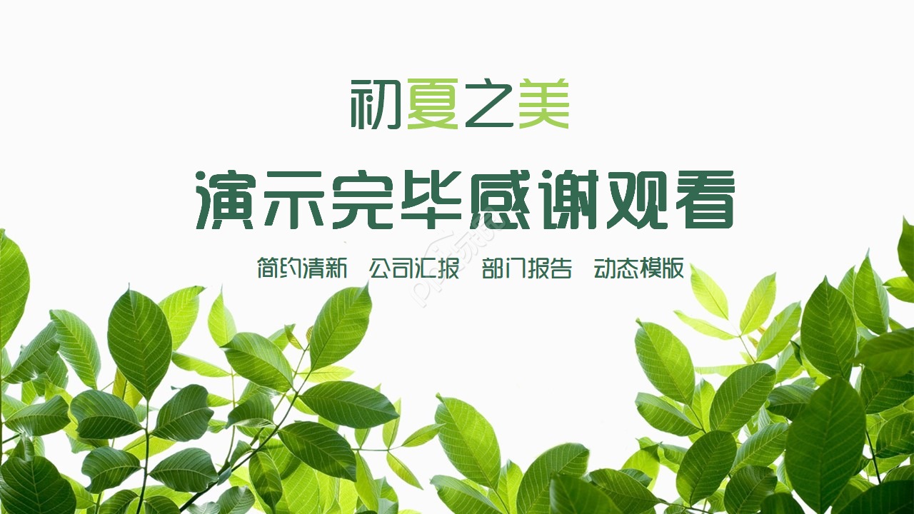 创意设计的盛夏之美ppt模板