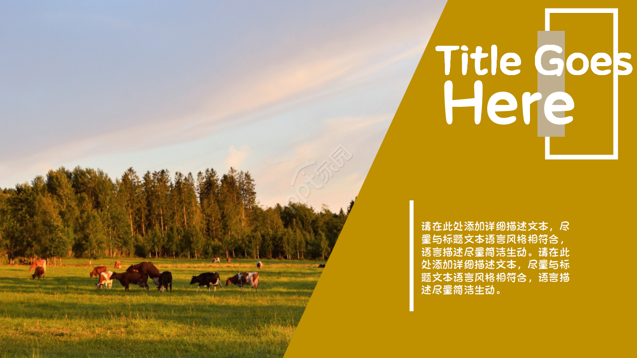 关于旅游动态相册的ppt怎么做