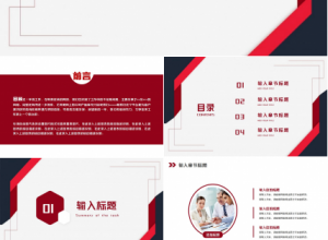审计案例分析ppt模板下载推荐