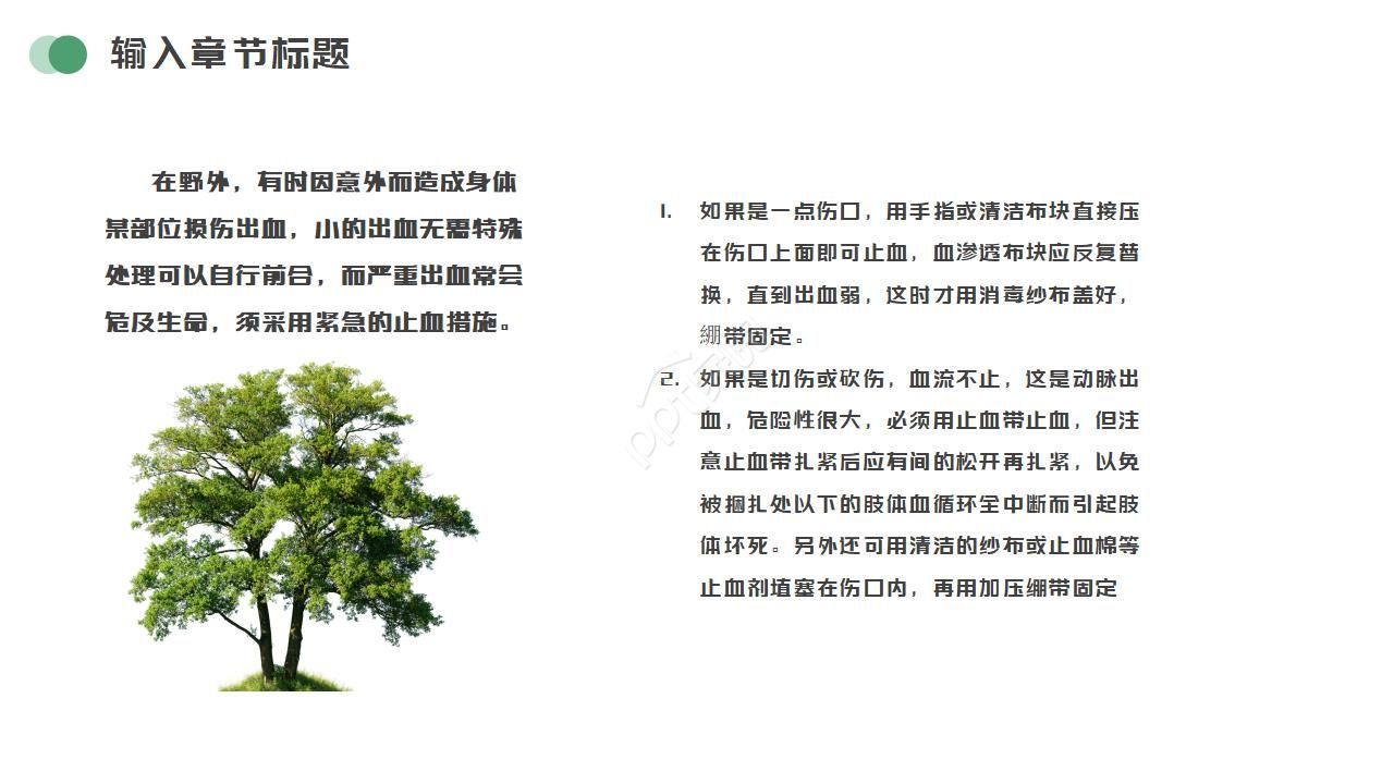 少儿夏令营ppt模板