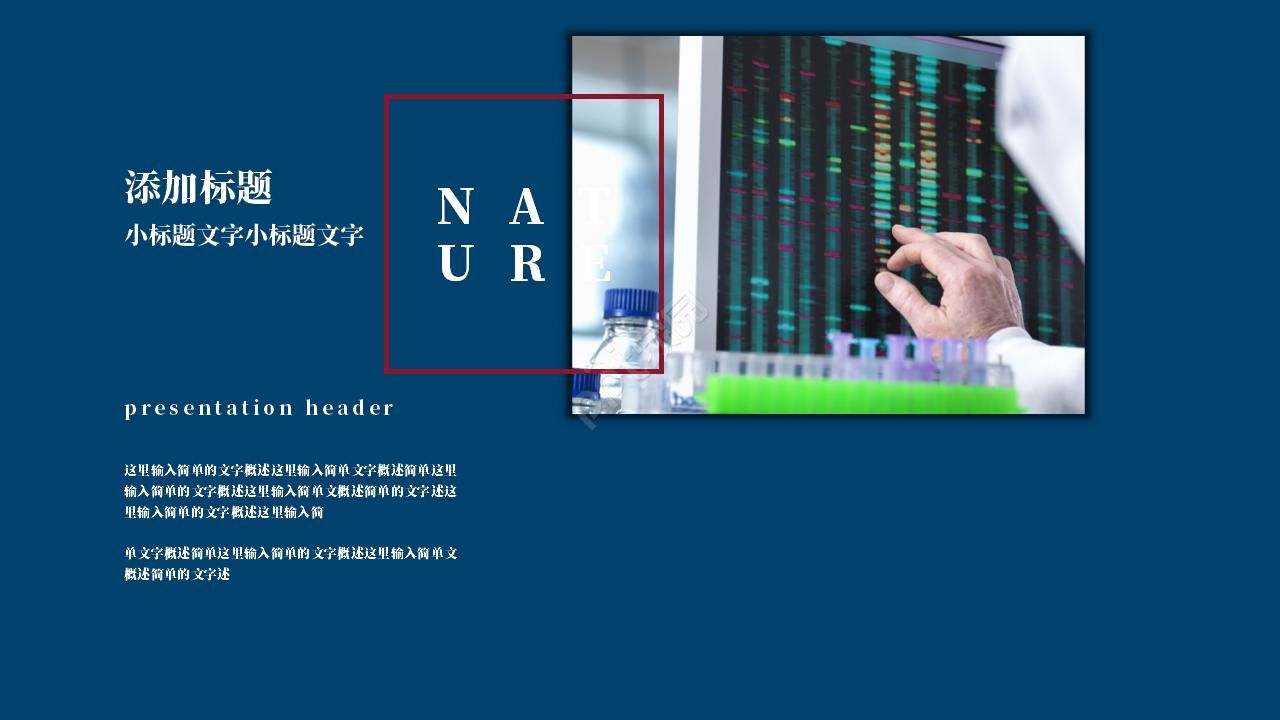 简约大气商务通用试用期工作总结ppt模板