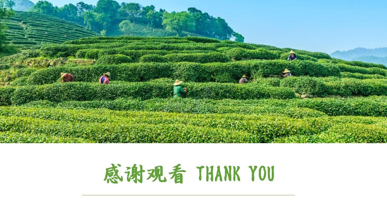 茶道协会招商方案ppt模板