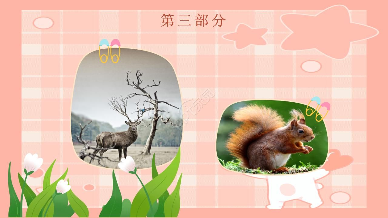 动物介绍制作ppt模板