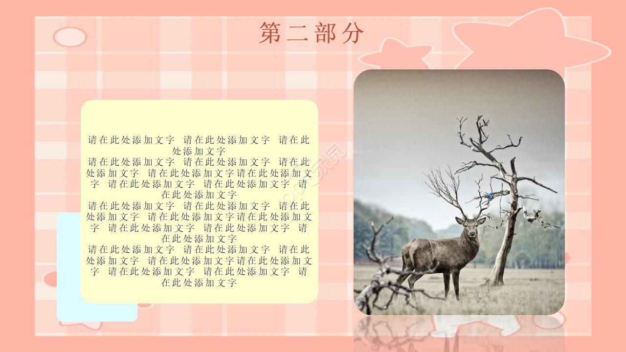 动物介绍制作ppt模板