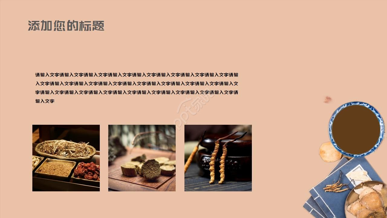 简约古典水墨中国风中医中草药ppt模板