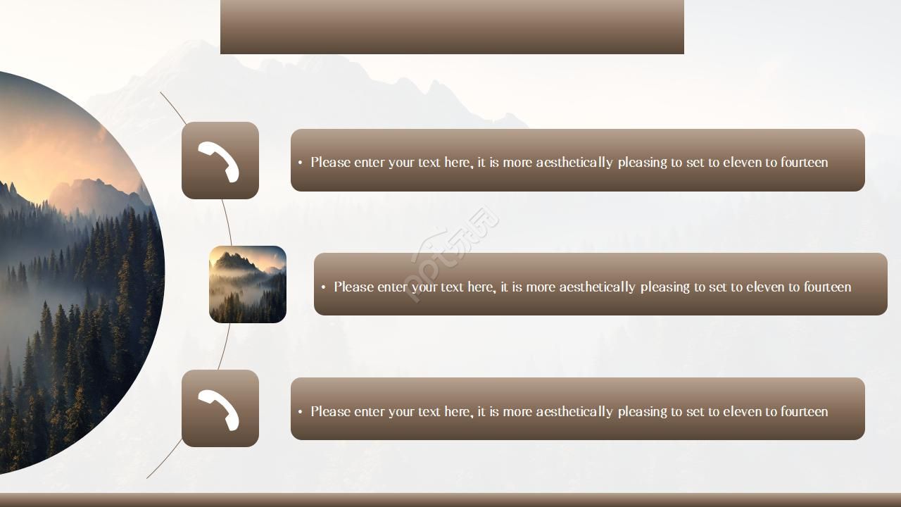 棕色公司招商方案计划书ppt模板
