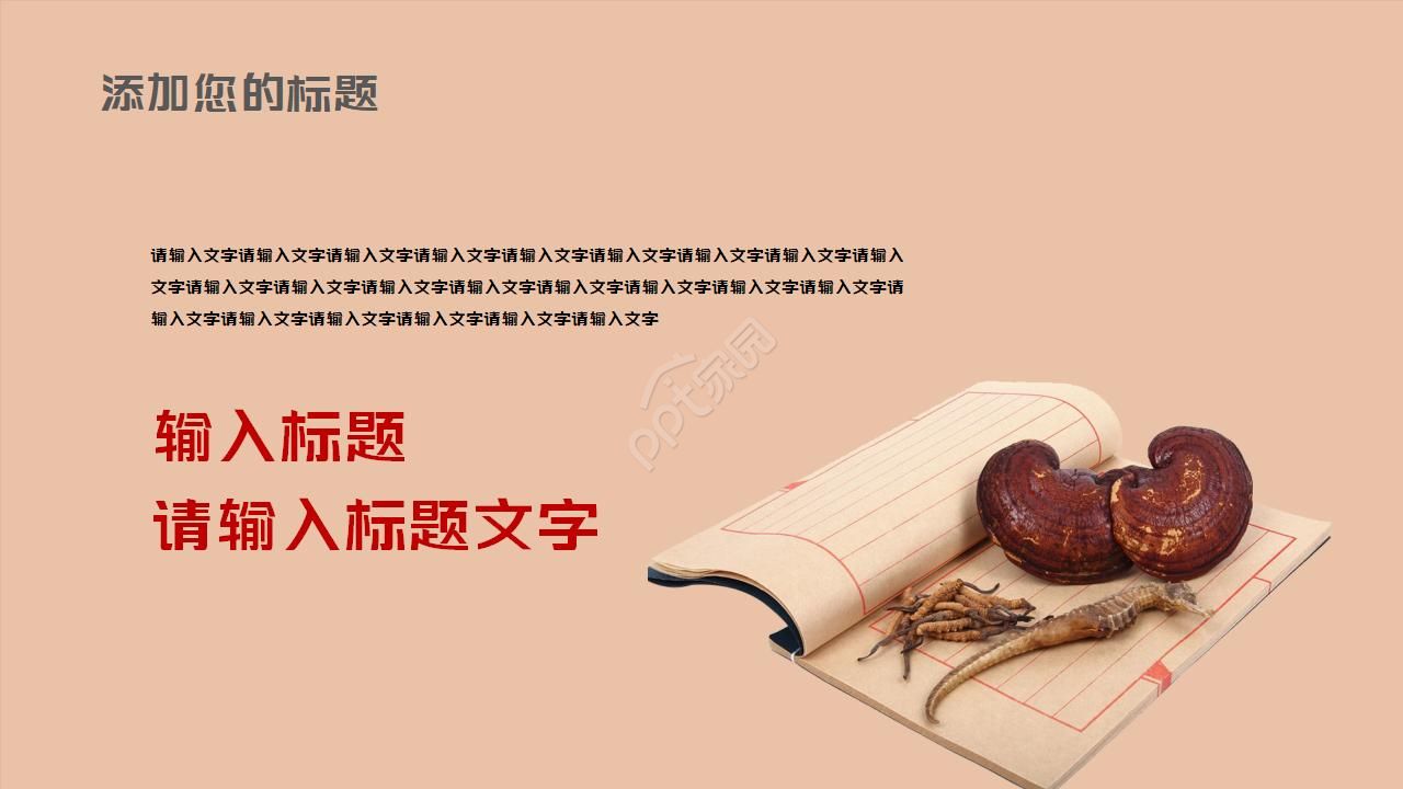 简约古典水墨中国风中医中草药ppt模板