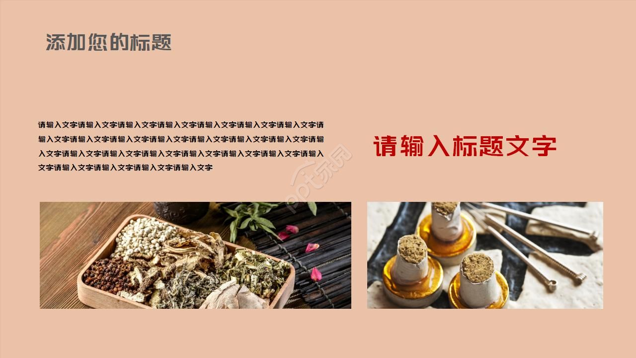 简约古典水墨中国风中医中草药ppt模板