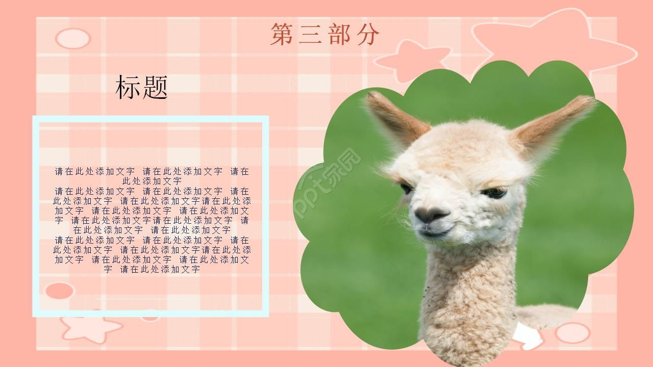 动物介绍制作ppt模板